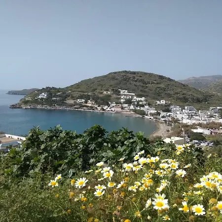 Inspiration - On * Kini